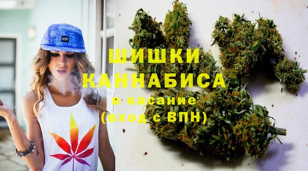 мдпв Михайловск
