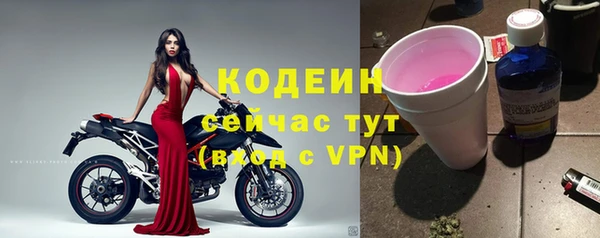ГАЛЛЮЦИНОГЕННЫЕ ГРИБЫ Абаза