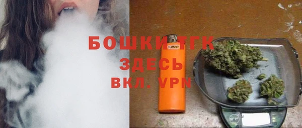 мдпв Михайловск