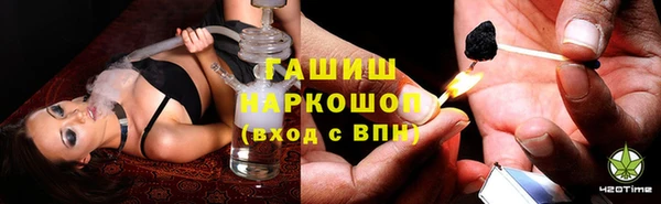 ГАЛЛЮЦИНОГЕННЫЕ ГРИБЫ Абаза