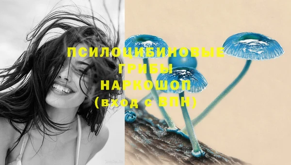 ГАЛЛЮЦИНОГЕННЫЕ ГРИБЫ Абаза
