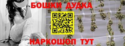гидра Краснокаменск