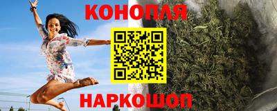 гидра Краснокаменск