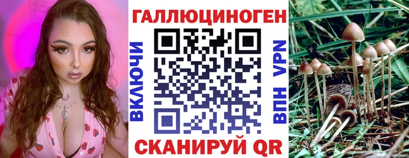 Галлюциногенные грибы GOLDEN TEACHER  наркота  Таганрог 